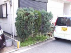 植栽撤去リフォーム前