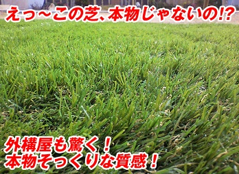 人工芝