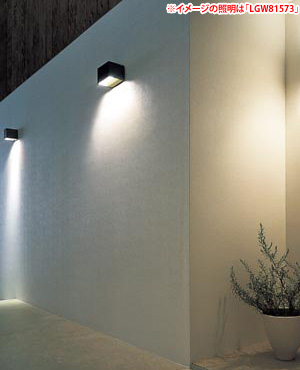 壁面を鮮やかに照らすLEDライト