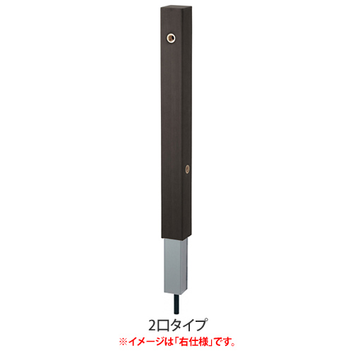 ץʤ¸ߴΤΩ